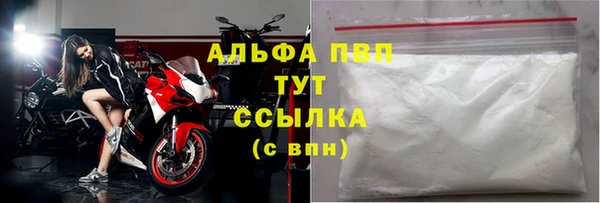 a pvp Аркадак