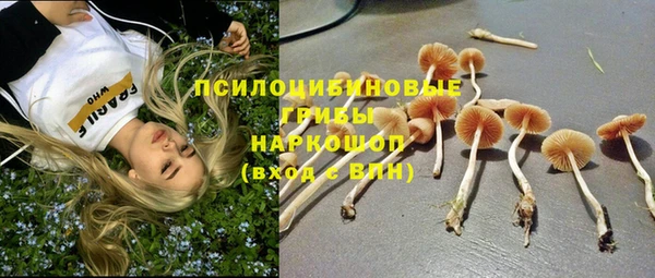 бошки Алзамай