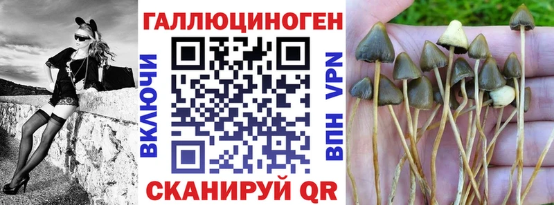 MEGA как войти  Валдай  Псилоцибиновые грибы прущие грибы  сколько стоит 